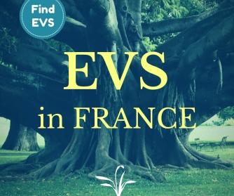 France EVS active vacancy Find EVS