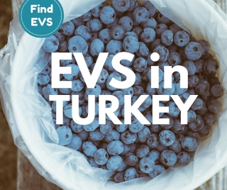 Turkey call for EVS project vacancy