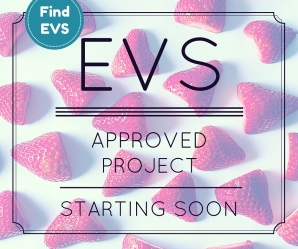 EVS vacancy starting soon Find EVS 2