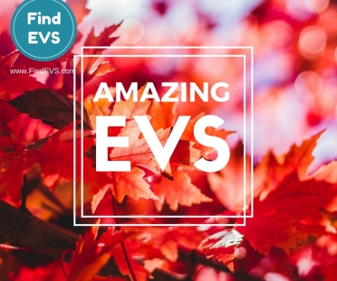 amazing-evs-find-evs-vacancy-6